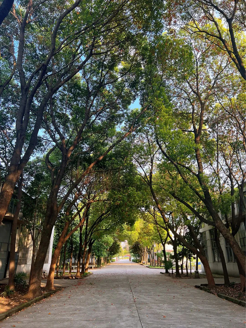 極致的康發(fā)雙螺桿擠出機(jī)工匠精神，支撐著在追逐夢(mèng)想的旅程中穩(wěn)步邁進(jìn)。