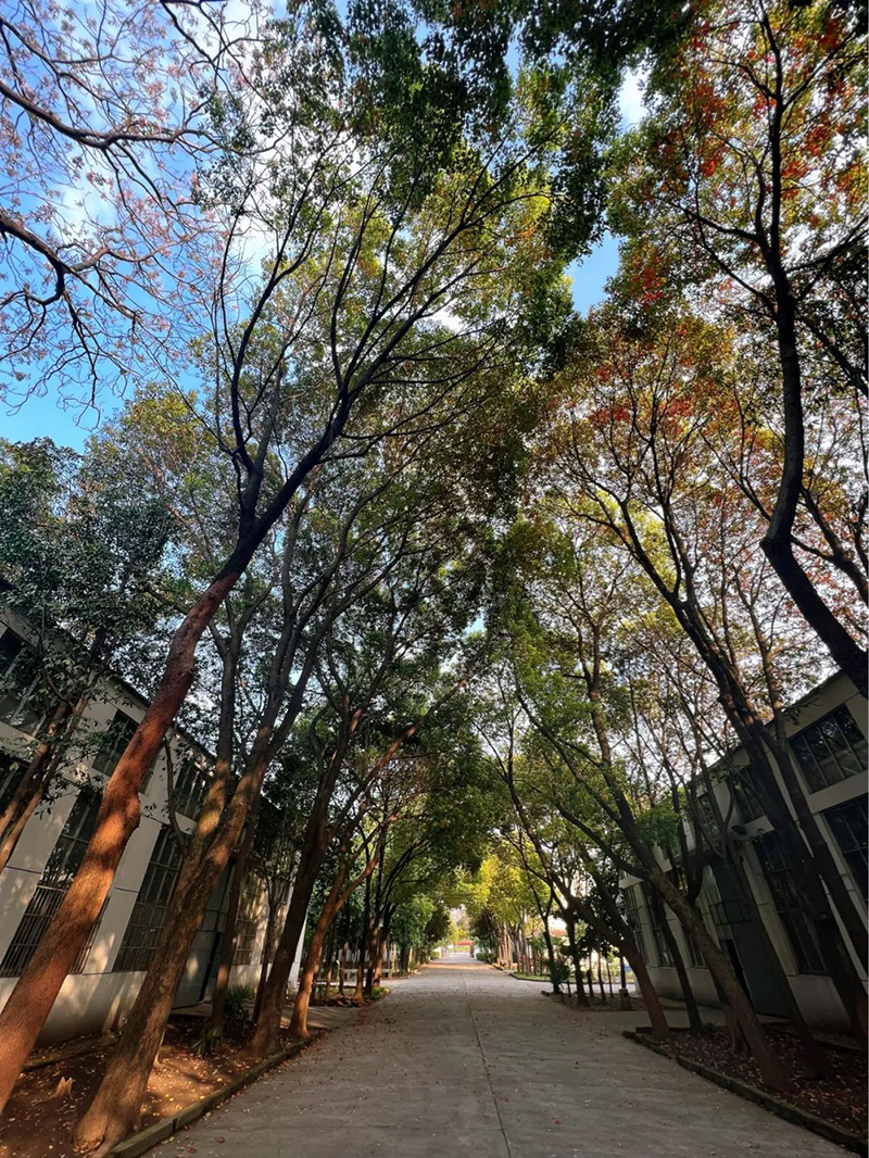 極致的康發(fā)雙螺桿擠出機(jī)工匠精神，支撐著在追逐夢(mèng)想的旅程中穩(wěn)步邁進(jìn)。